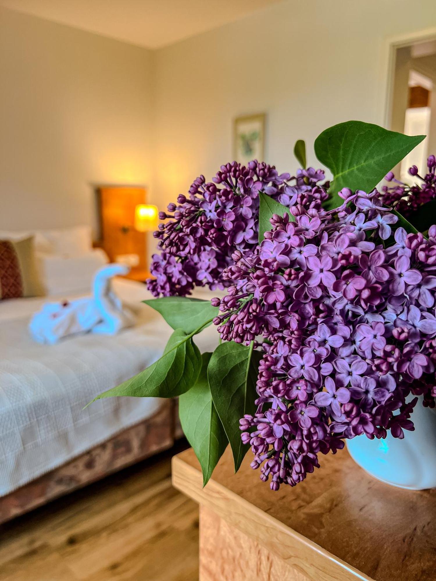 Insel-Hof Reichenau Hotel-Garni Eksteriør billede